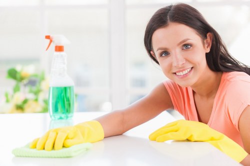 Professional upholstery cleaning in a Lewisham living room