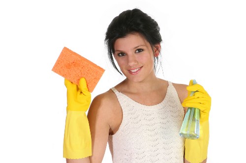 Lewisham carpet cleaners working on a fresh home interior carpet