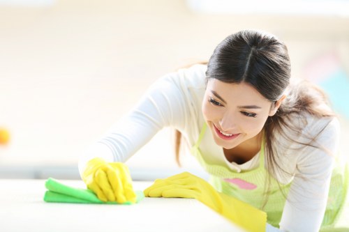 Deep carpet cleaning equipment used in a Lewisham home