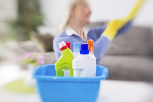 Professional stain removal in Lewisham for home interiors
