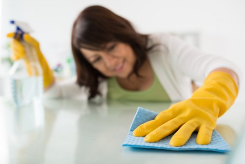 Stain removal and odor treatment for a rug in Lewisham