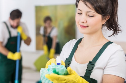 Local upholstery cleaning service for sofas and chairs in Lewisham