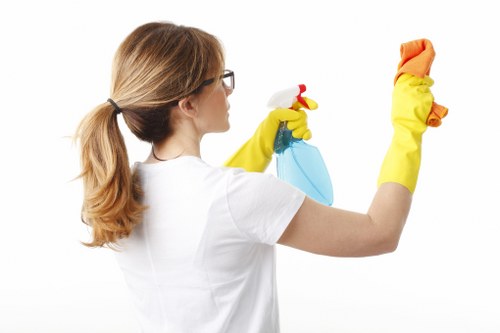 Leather sofa cleaning and care in Lewisham