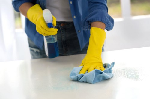 A Lewisham carpet cleaning team focusing on detailed fabric care