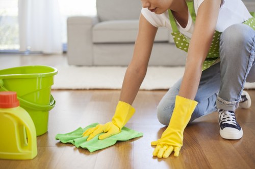 Professional carpet cleaning in a Lewisham property with careful treatment