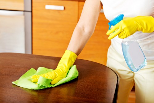 Risk assessment being completed before a carpet cleaning appointment