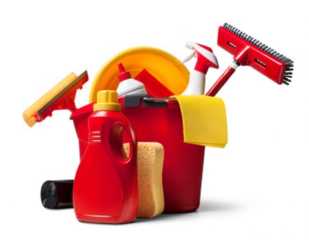 Professional carpet cleaning service in Lewisham removing stains